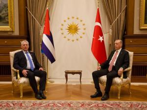 Mandatario turco recibe a Díaz-Canel